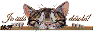 Gif animé je suis désolé chat